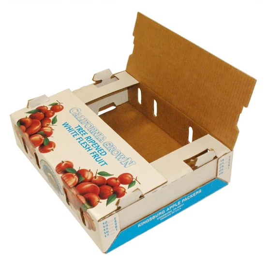 Custom Printed High Quality Fruit Packaging Box Biodegradable Shipping Carton for Apple Pear