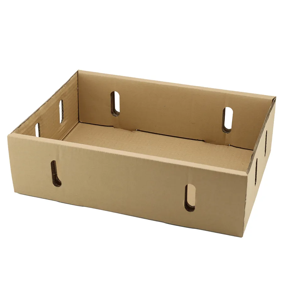 Custom Size Logo Corrugated Box Fruit Shipping Carton for Mango Apple Grape Box