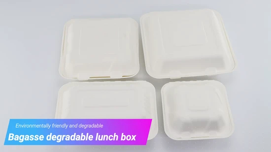 Sugarcane Bagasse Biodegradable Sushi Takeaway Box Rectangular Disposable Food Packing for Fast Food