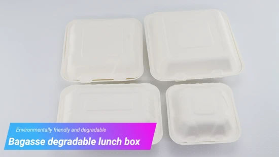 Sugarcane Bagasse Biodegradable Sushi Takeaway Box Rectangular Disposable Food Packing for Fast Food