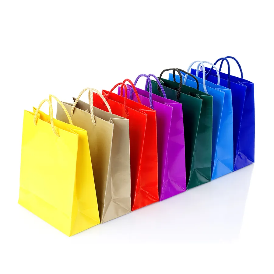 Clothing Shopping Bag with Handles Paper Bag with Logo Print Custom Personalized Custom Paper Bag