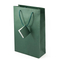 Wholesale Luxury Custom Packaging Carrying Shoes Clothes Bags Printed Shopping Gift Paper Bag with Logo