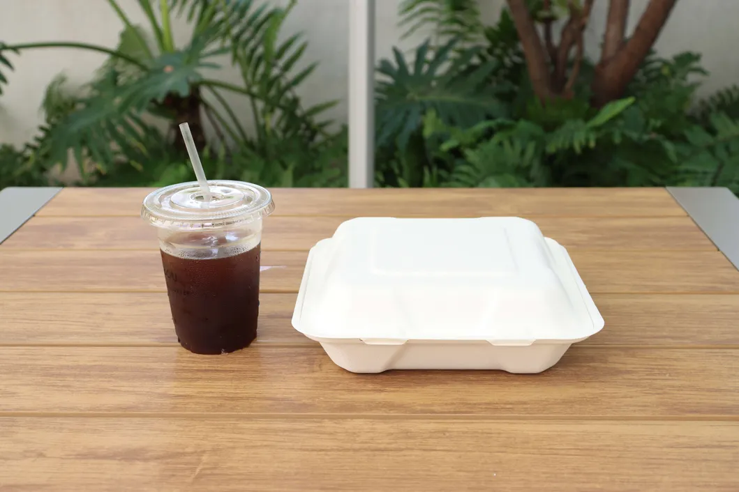 High Quality Bagasses Box Customized Disposable Food Packaging Lunch Box Takeaway Delivery