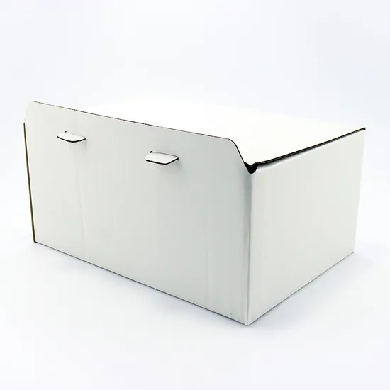 Eco-Friendly Aircraft Packaging Boxes Customized Color Vegetable Paper Box Corrugated Printed Logo Shipping Fruit Shipping Cardboard Box