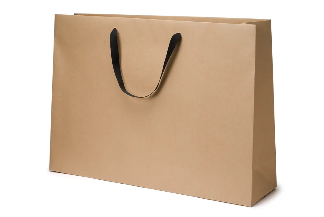 Wholesale Custom Printing Luxury Personalized Beautiful Reusable Degradable Eco-Friendly Carrier Shopping Gift Kraft White Card Paper Bag with Portable Handle