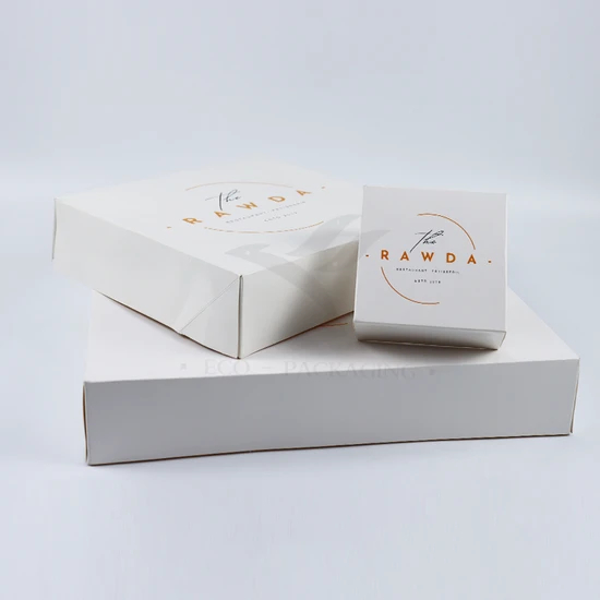 Wholesale Luxury Eco-Friendly Aircraft Packaging Customized Color Vegetable Fruit Paper Corrugated Printed Logo Shoe Cloth Shipping Gift Packaging Cardboard Box