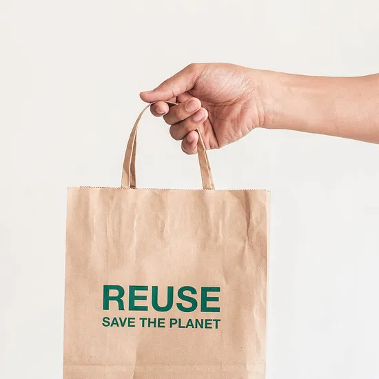 FDA/EU 100% Recycled Restaurant Food Delivery Take out Packaging Paper Bag