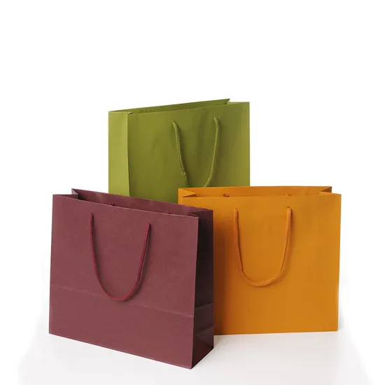 Custom Luxury Printed Colorful Packaging Cardboard Perfume Packaging Shoes Clothing Shopping Paper Bag