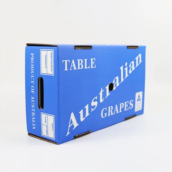 Customized Paper Be Flute Corrugated Archive Storage Shipping Carton with Custom Printing