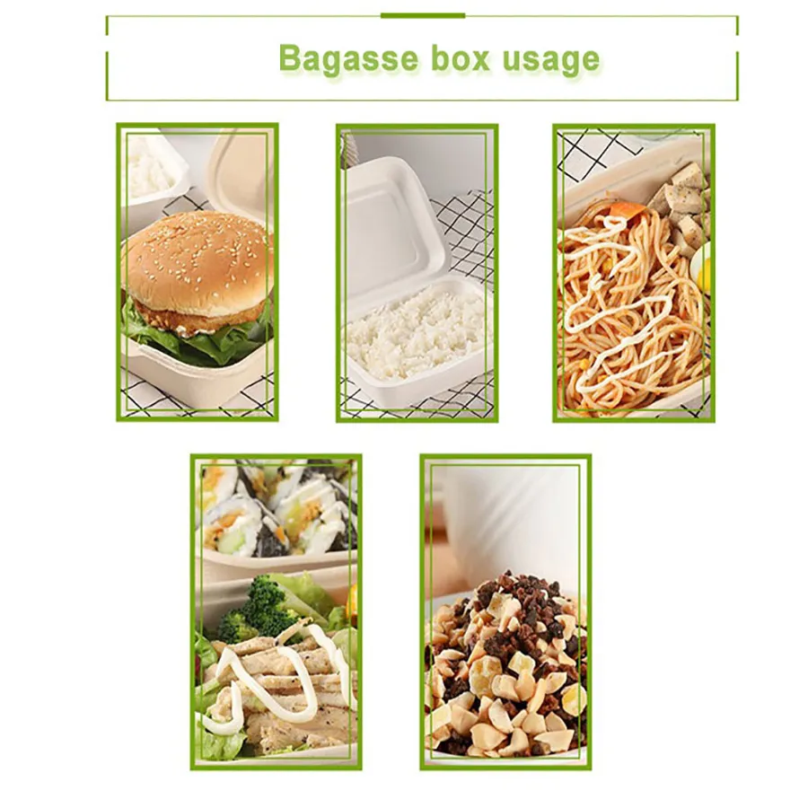 Custom Biodegradable Sugarcane Bagasse Microwaveable Clamshell 6X6 8X8 9X9 9X6 Inch Mealfood Packaqing Container Lunch Box