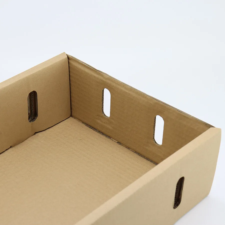 Custom Size Logo Corrugated Box Fruit Shipping Carton for Mango Apple Grape Box