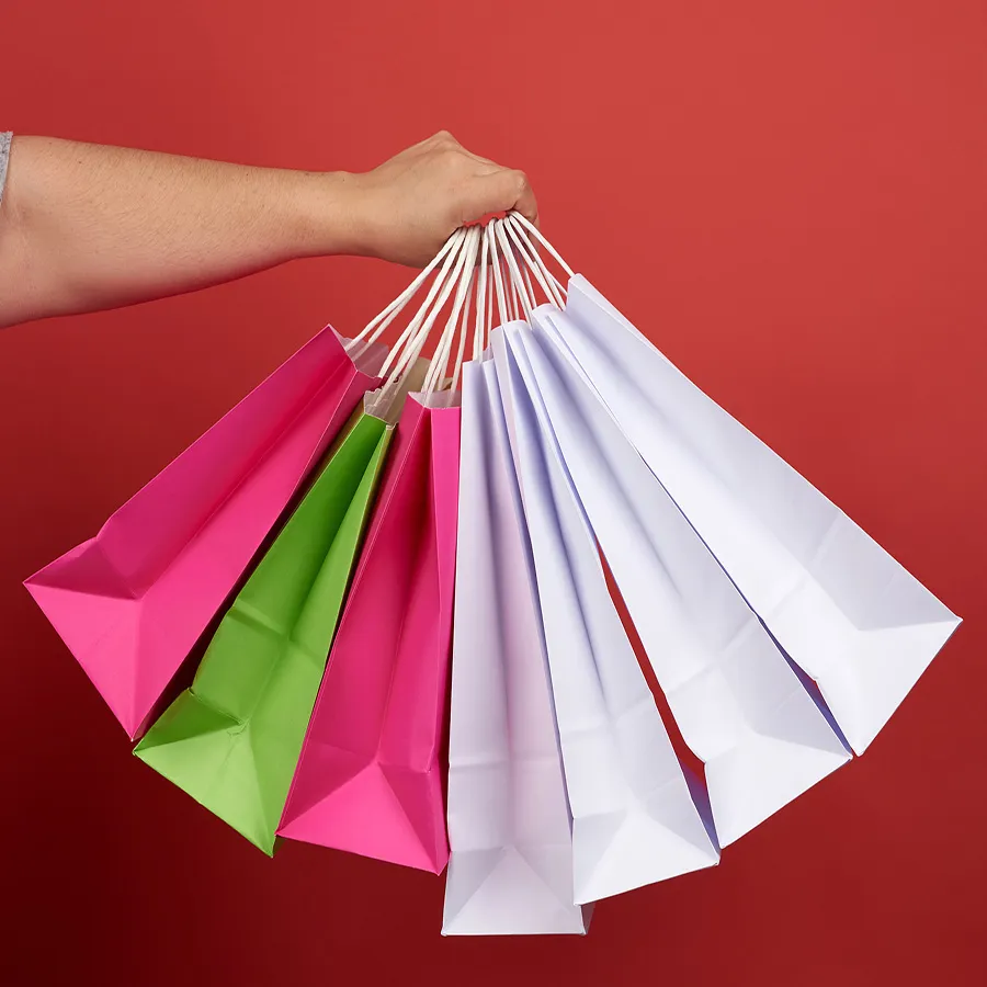 Printable Natural Kraft Paper Bags in Bulks with Twisted Handles India Kraft Paper Bag Manufacturers Shopping Bag