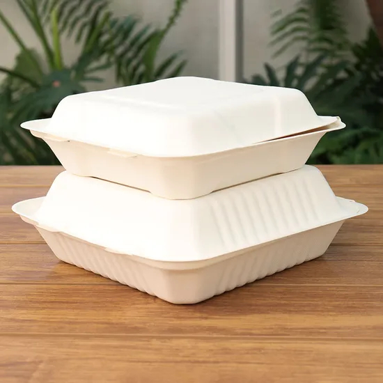 Sugarcane Bagasse Biodegradable Sushi Takeaway Box Rectangular Disposable Food Packing for Fast Food