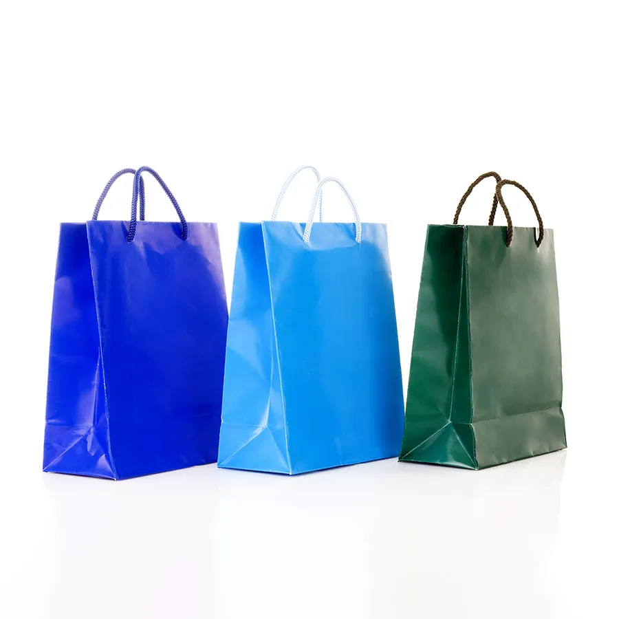 Clothing Shopping Bag with Handles Paper Bag with Logo Print Custom Personalized Custom Paper Bag