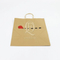Environmentally Friendly Easy to Store Garment Paper Shopping Bag for Household Items