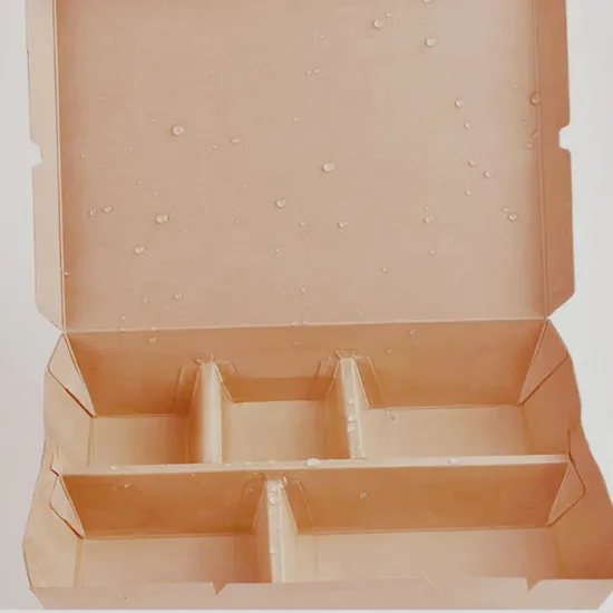 Custom Cardboard Box/Biodegradable Container/Paper Food Packcontainers/Food Paper Packing Box/Frozen Fish Box/Disposable-Tableware