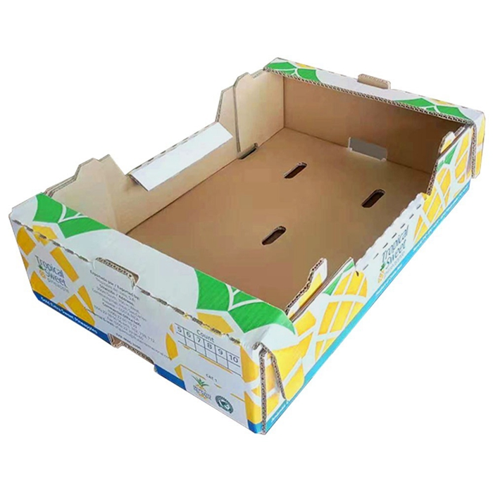 Custom Moving Box Cardboard Storage Shipping Box Corrugated Carton Packaging Express Shipping Mailer Box