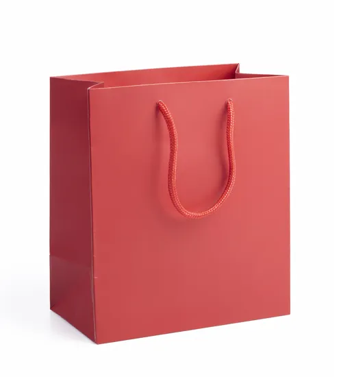 Wholesale Custom Printing Luxury Personalized Beautiful Reusable Degradable Eco-Friendly Carrier Shopping Gift Kraft White Card Paper Bag with Portable Handle
