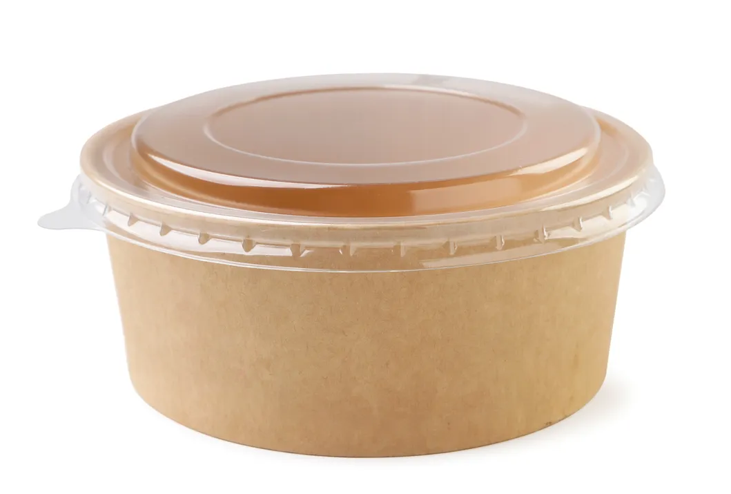 Healthy Plastic Free Disposable Lunch Box Takeaway Food Container