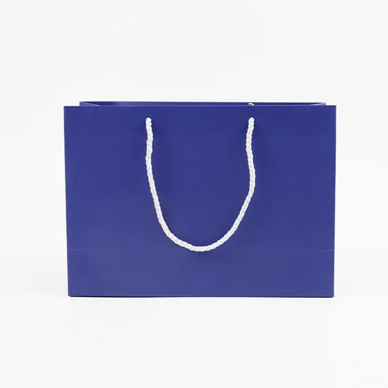 Luxury Boutique Shopping Packaging Tote Paper Gift Bags with Logo