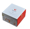 Wholesale Portable Food Grade Custom Logo Eco-Friendly High Quality Bakery Cupcake Packing Lunch Cake Pastries Donuts Cardboard Food Boxes with Handle