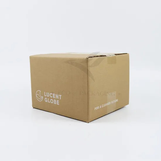 Customized Size Printing Logo Cheap Large Brown Transport Paper Box