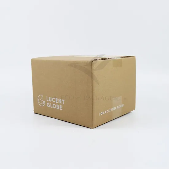 Customized Size Printing Logo Cheap Large Brown Transport Paper Box