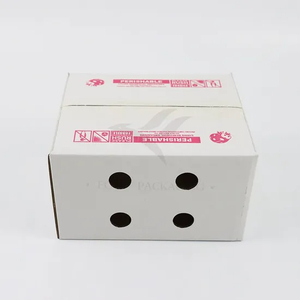 Factory Cheap Wholesale Customized Size Printing Logo Eco-Friendly Recyclable Shoe Gift Fruit Vegetable Packaging Delivery Shipping Corrugated Kraft Paper Box
