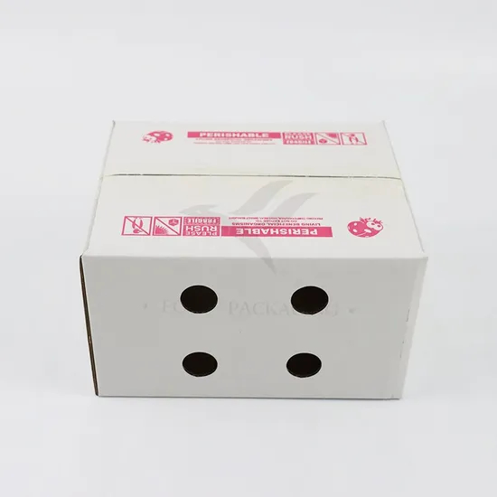 Factory Cheap Wholesale Customized Size Printing Logo Eco-Friendly Recyclable Shoe Gift Fruit Vegetable Packaging Delivery Shipping Corrugated Kraft Paper Box