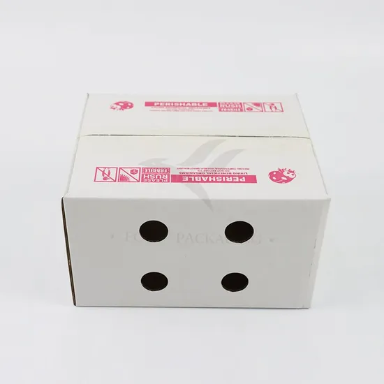 Factory Cheap Wholesale Customized Size Printing Logo Eco-Friendly Recyclable Shoe Gift Fruit Vegetable Packaging Delivery Shipping Corrugated Kraft Paper Box