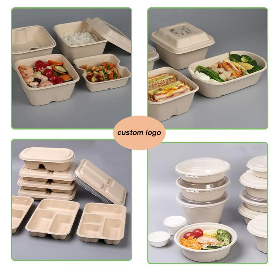 Custom Biodegradable Sugarcane Bagasse Microwaveable Clamshell 6X6 8X8 9X9 9X6 Inch Mealfood Packaqing Container Lunch Box