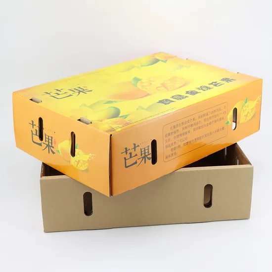 Custom Size Logo Corrugated Box Fruit Shipping Carton for Mango Apple Grape Box