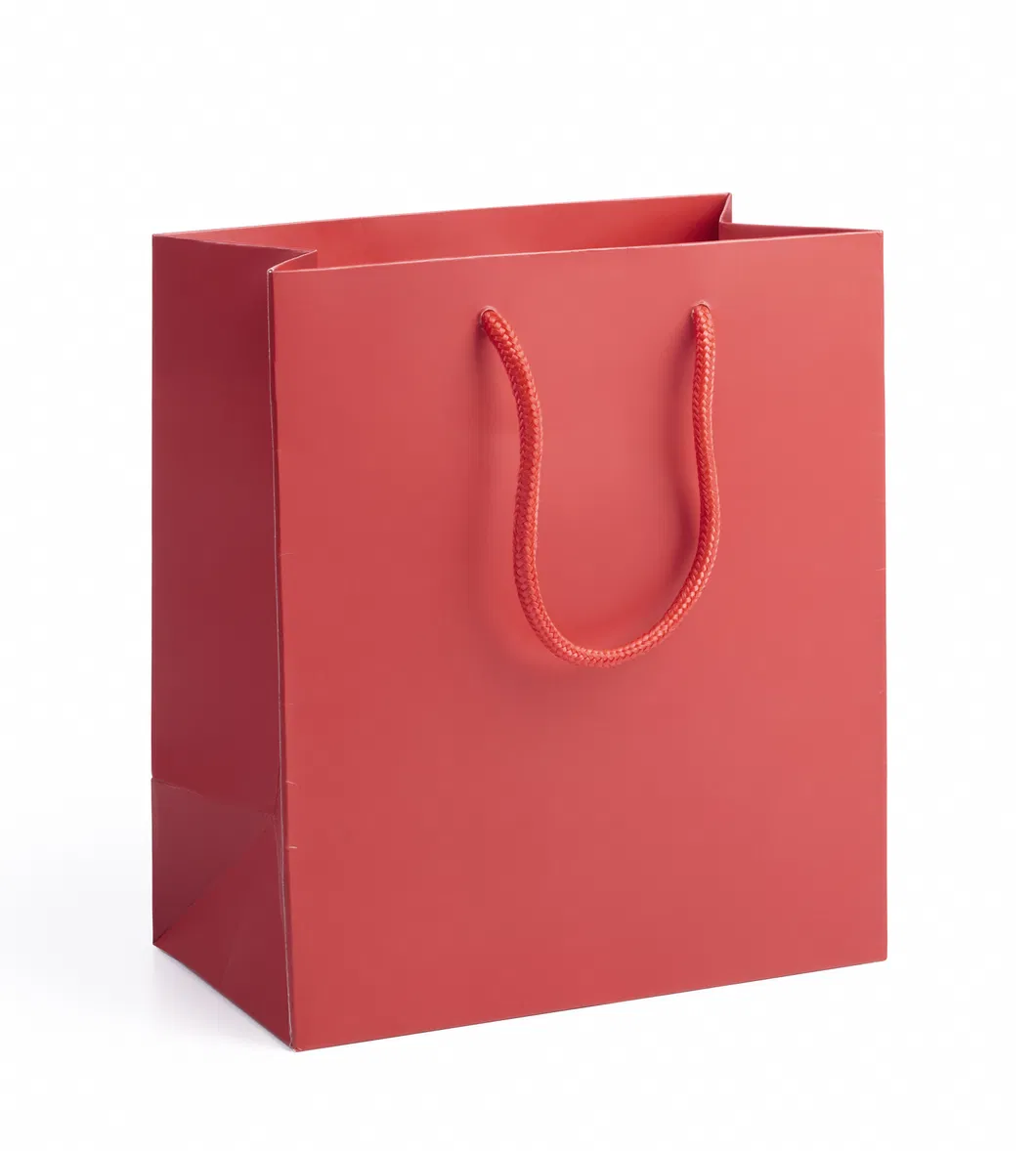 Printable Natural Kraft Paper Bags in Bulks with Twisted Handles India Kraft Paper Bag Manufacturers Shopping Bag
