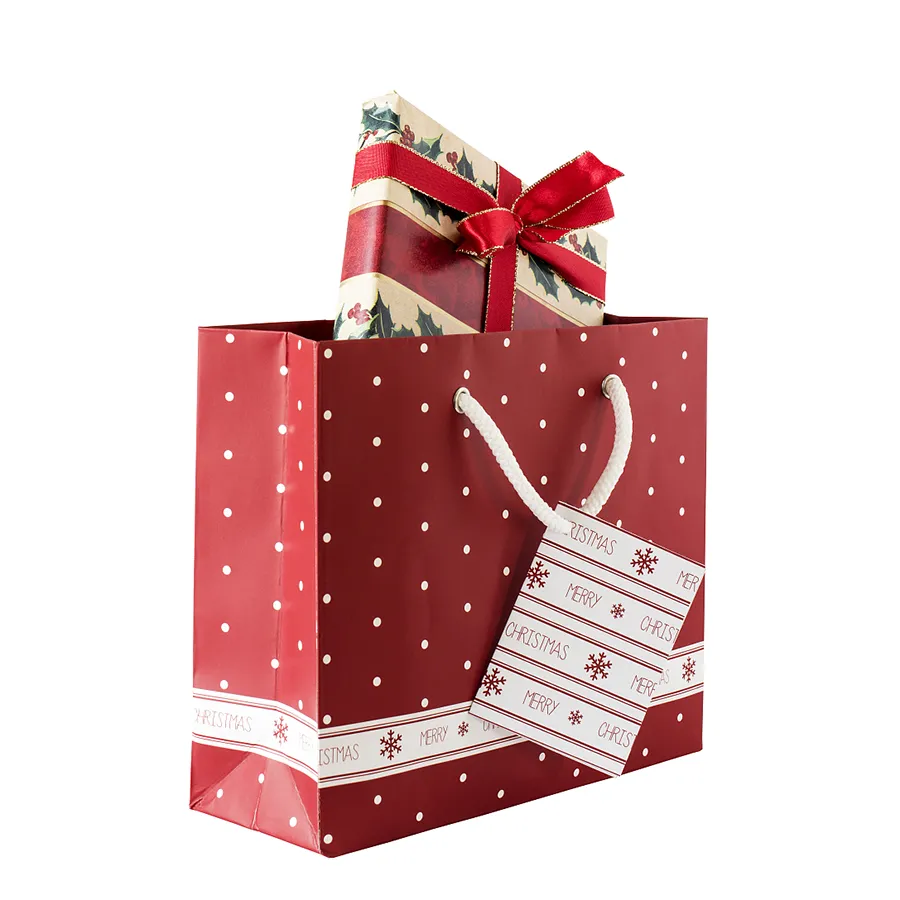 Christmas Bags for Gift Recyclable Kraft Paper Bag Holiday Gift Packaging Bag Manufacturers