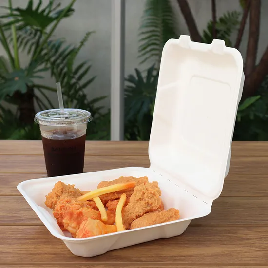 Sugarcane Bagasse Biodegradable Sushi Takeaway Box Rectangular Disposable Food Packing for Fast Food