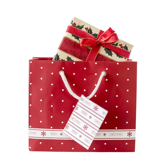 Wholesale Fancy Paper Tote Bag Shopping Paper Bag Customized Gift Paper Bag with Ribbon Handle