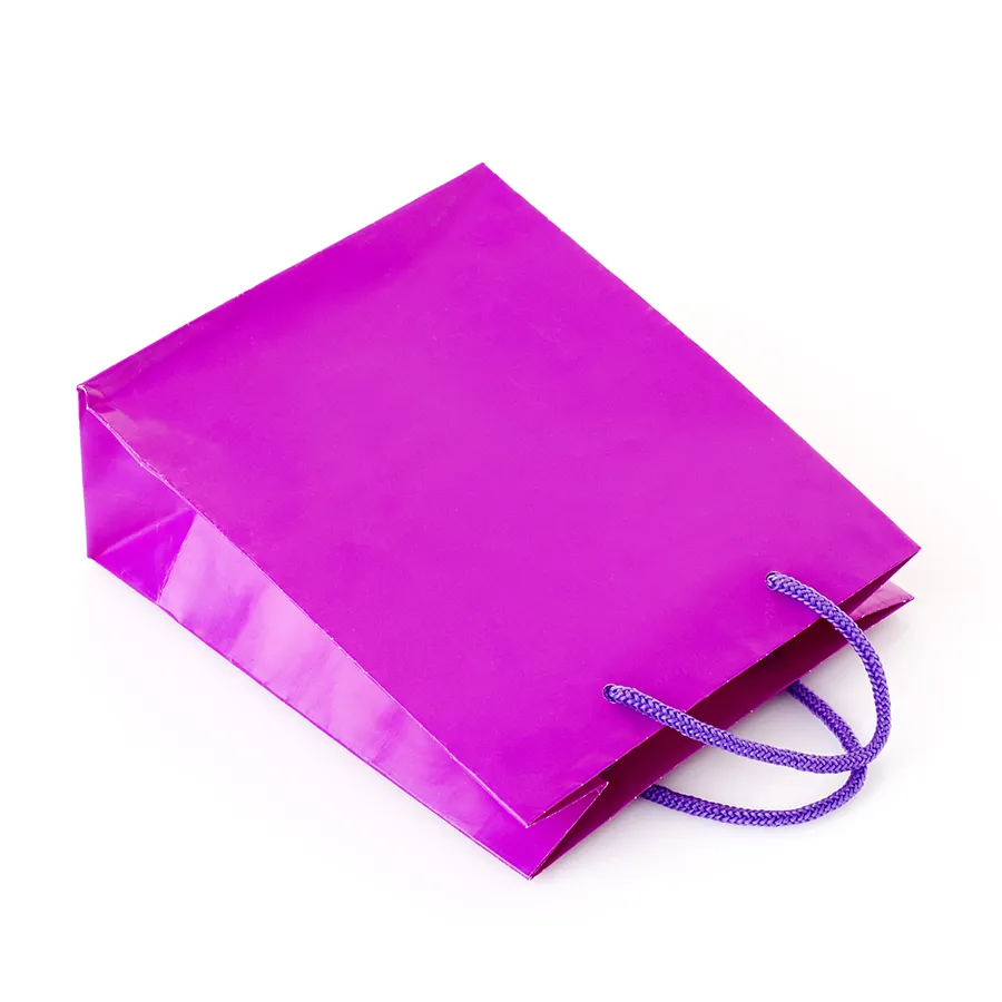 Clothing Shopping Bag with Handles Paper Bag with Logo Print Custom Personalized Custom Paper Bag
