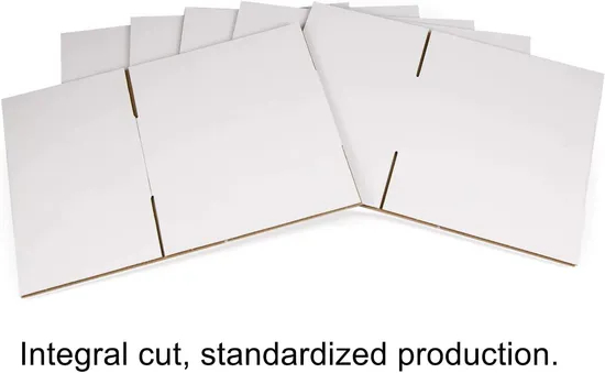 Custom Logo Eco Friendly Shipping Carton Biodegradable Packaging Box