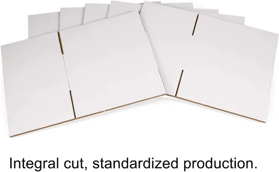 Custom Logo Eco Friendly Shipping Carton Biodegradable Packaging Box