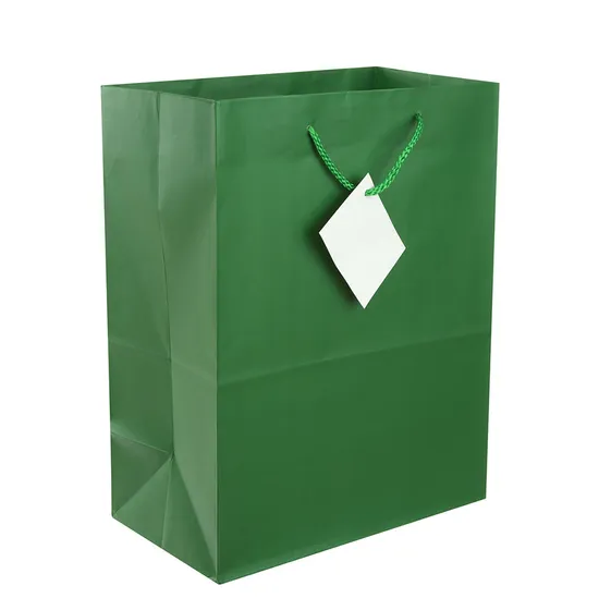 Wholesale Luxury Custom Packaging Carrying Shoes Clothes Bags Printed Shopping Gift Paper Bag with Logo