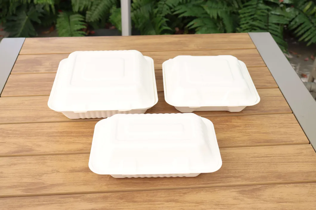 High Quality Bagasses Box Customized Disposable Food Packaging Lunch Box Takeaway Delivery