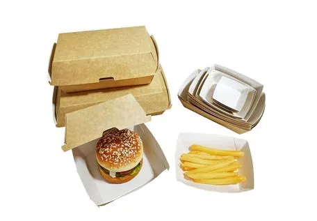 Multi-Function Design Heat-Resistant Customized Biodegradable Hamburger Box for Fast Food Restaurants