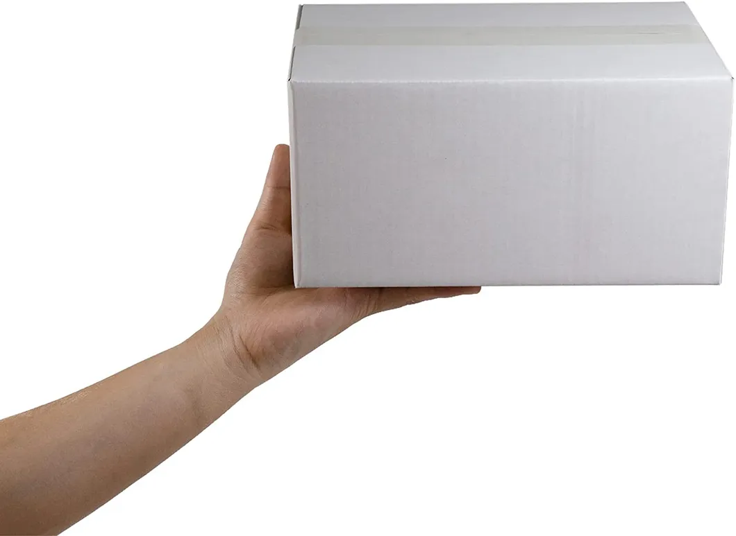 Custom Shipping Box Customized Cardboard Corrugated Box Kraft Paper Boxes for Shipping