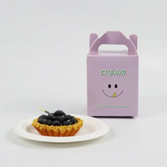 Custom Package Printed Cheese Cake Box, Cake Carrying Box, Birthday Cake Packaging Box