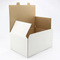 Eco-Friendly Aircraft Packaging Boxes Customized Color Vegetable Paper Box Corrugated Printed Logo Shipping Fruit Shipping Cardboard Box