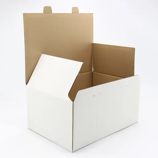 Eco-Friendly Aircraft Packaging Boxes Customized Color Vegetable Paper Box Corrugated Printed Logo Shipping Fruit Shipping Cardboard Box