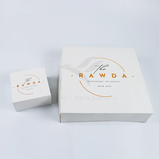 Wholesale Luxury Eco-Friendly Aircraft Packaging Customized Color Vegetable Fruit Paper Corrugated Printed Logo Shoe Cloth Shipping Gift Packaging Cardboard Box