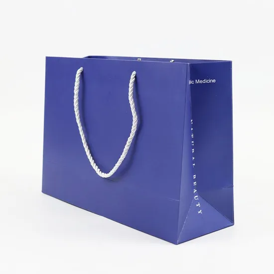 Luxury Boutique Shopping Packaging Tote Paper Gift Bags with Logo