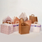 Custom Luxury Printed Colorful Packaging Cardboard Perfume Packaging Shoes Clothing Shopping Paper Bag