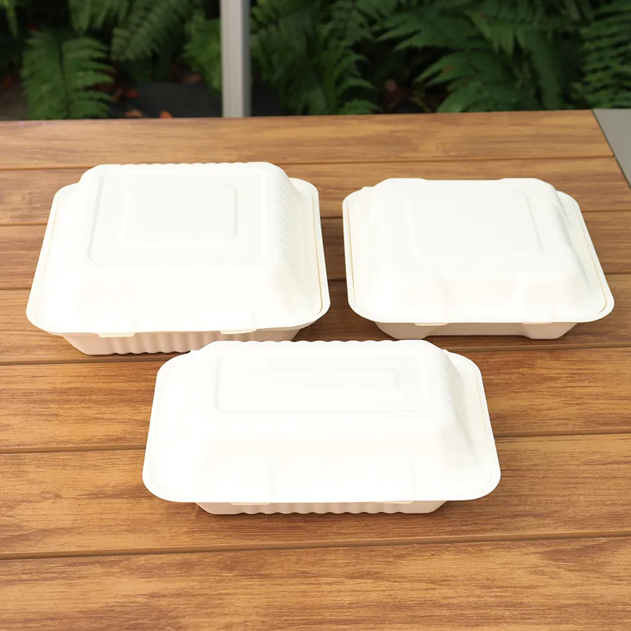Custom Biodegradable Sugarcane Bagasse Microwaveable Clamshell 6X6 8X8 9X9 9X6 Inch Mealfood Packaqing Container Lunch Box